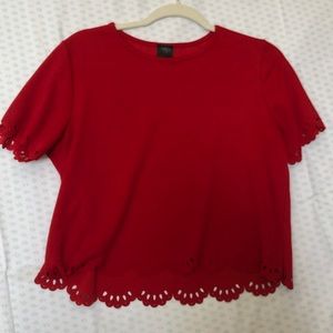 red crop top with design on the bottom and sleeves
